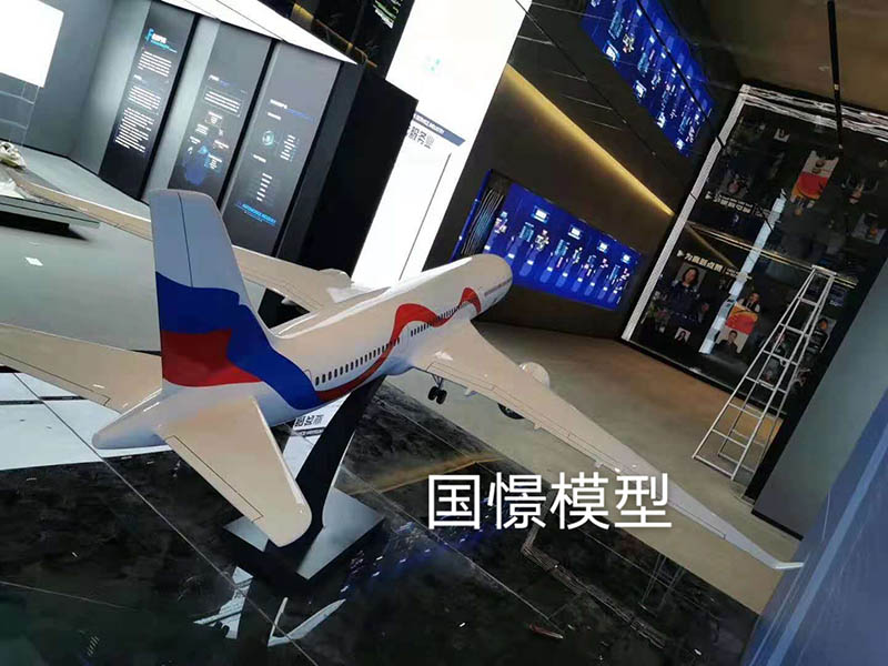 天峨县飞机模型